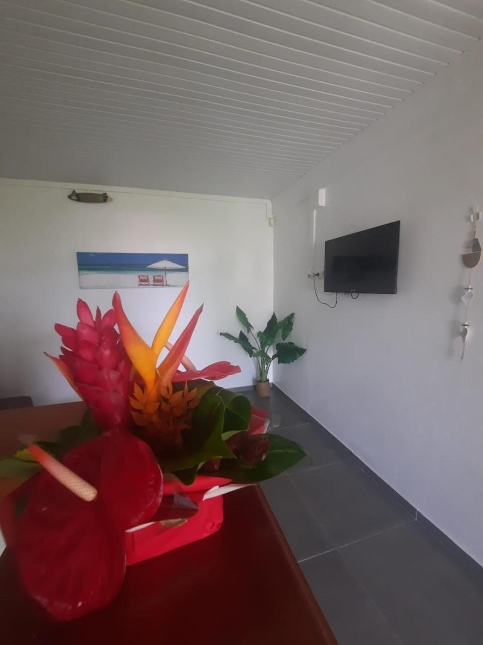 5 Min Plage T2 Ideal Pour Retraites/Jeune Couple Сен-Лу Екстериор снимка